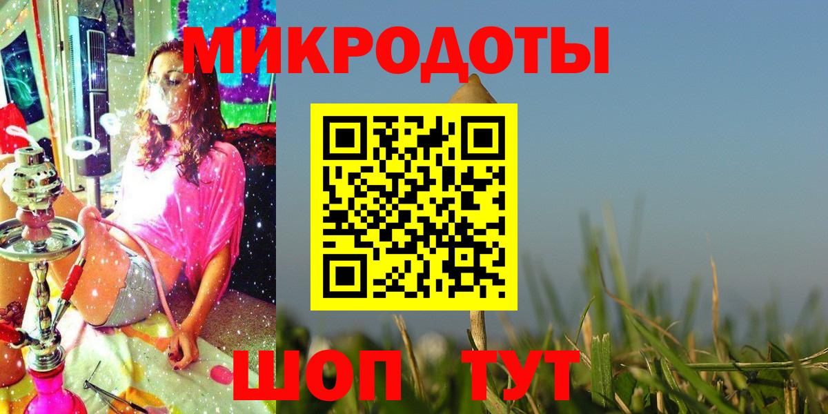 Псилоцибиновые грибы Psilocybe Родники